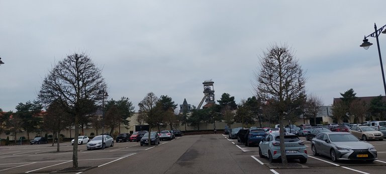 Belgium! - My Actifit Report Card: December 23 2025