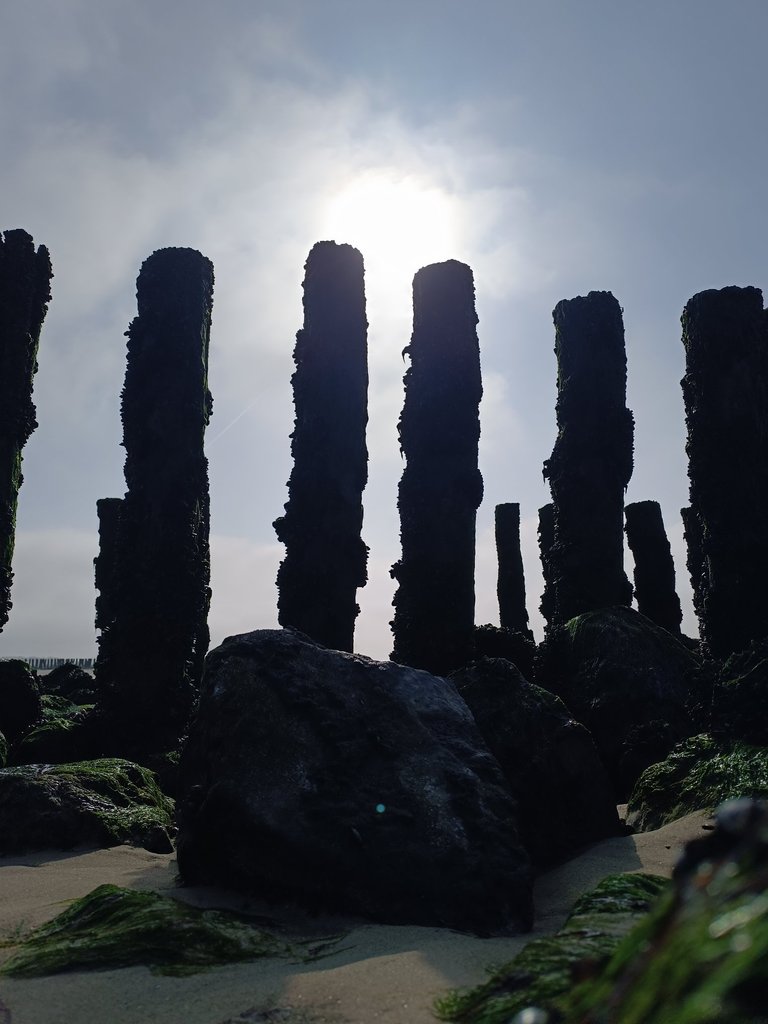 My Actifit Report Card: March 21 2026