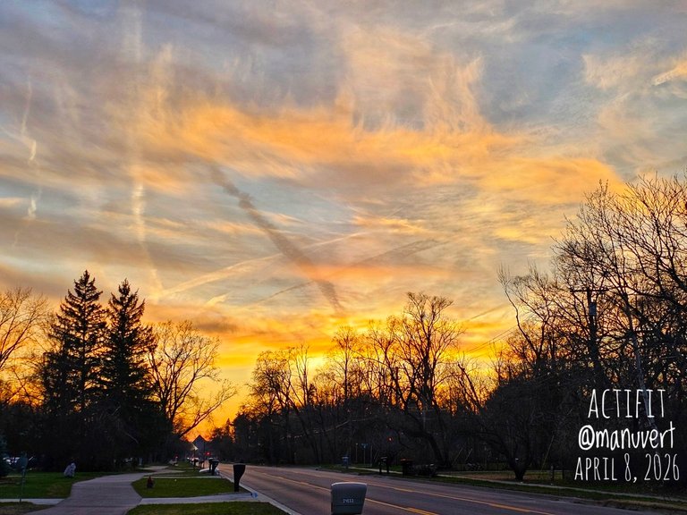 My Actifit Report Card: April 8 2026