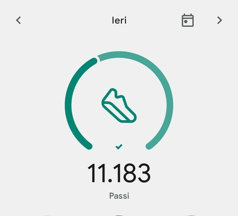 Il mio Report Actifit: Marzo 9 2024