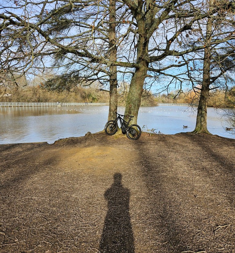 Sunshine at last!  : My Actifit Report Card: January 24 2026