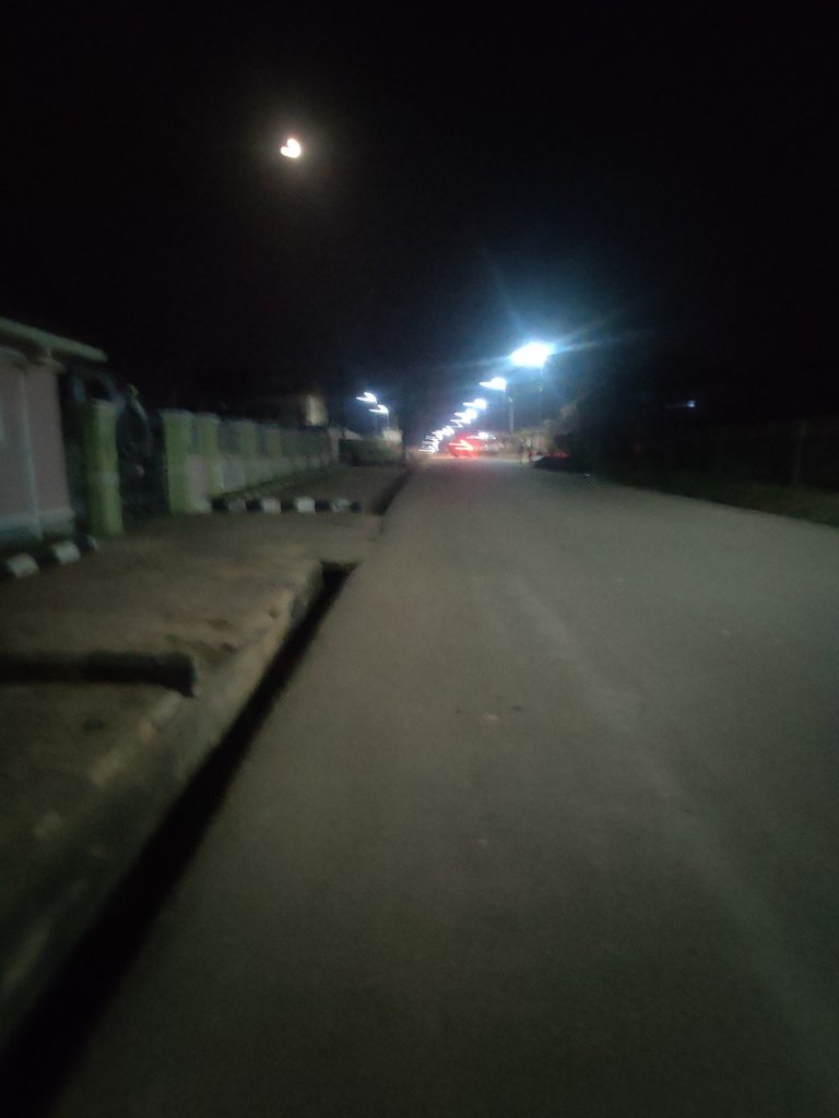 My Actifit Report Card: January 31 2026