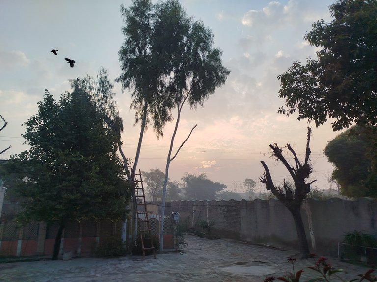 My Actifit Report Card: December 23 2025