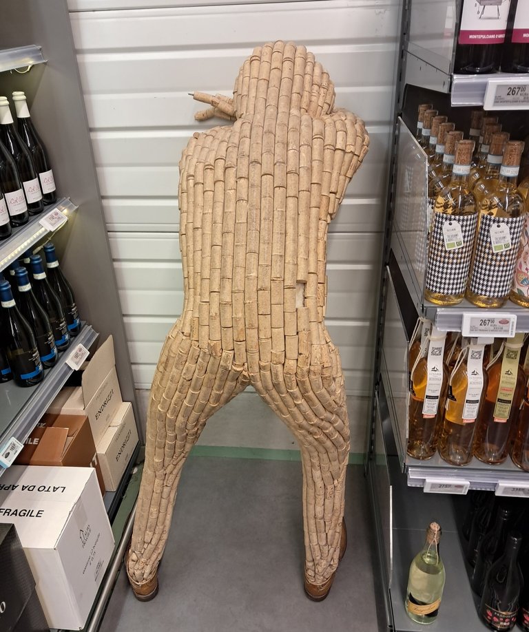 My Actifit Report Card: January 17 2026