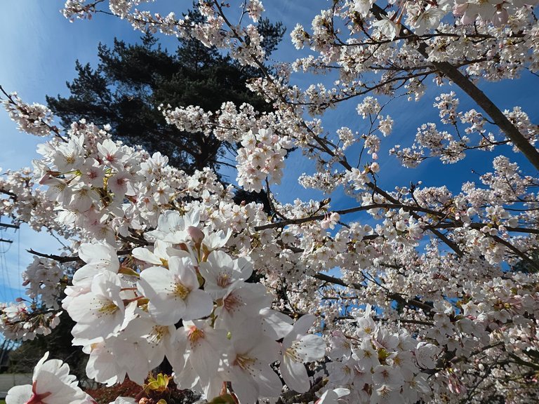 From the AI Assisted Development Trenches...