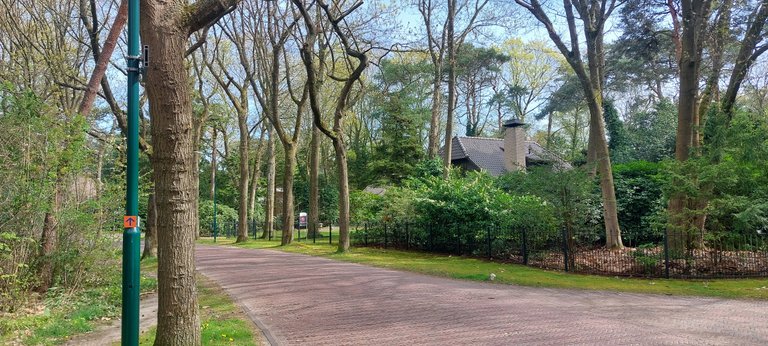 10,001 steps 😁 - My Actifit Report Card: April 15 2026