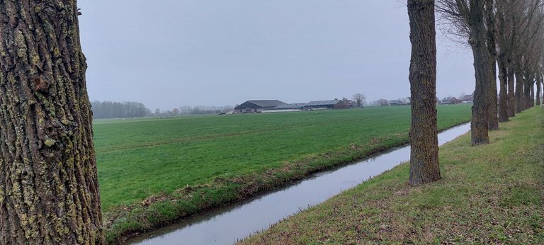 Walking with some rap music - My Actifit Report Card: December 27 2025