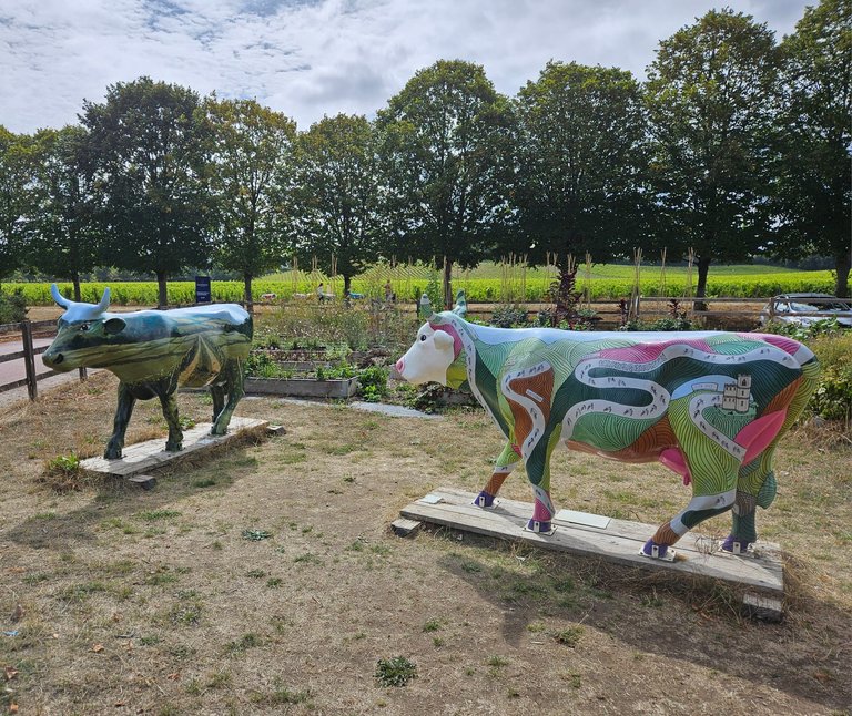 Strange cows! : My Actifit Report Card: September 4 2026