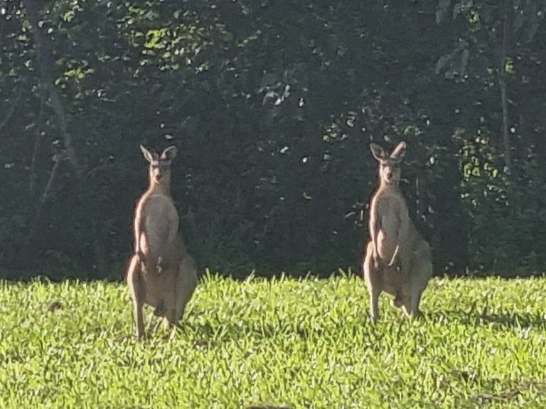 My Actifit Report Card: December 29 2025