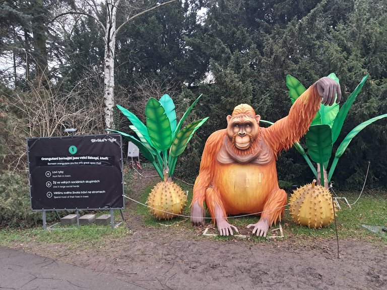 My Actifit Report Card: January 2 2026