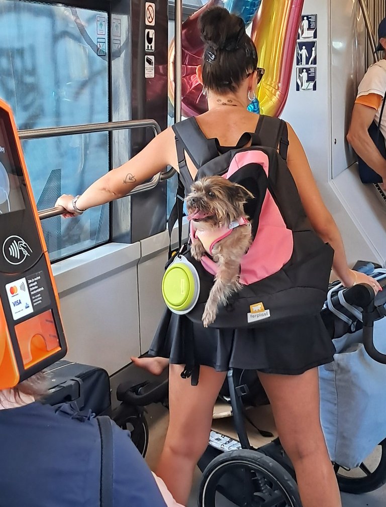 My Actifit Report Card: July 19 2026