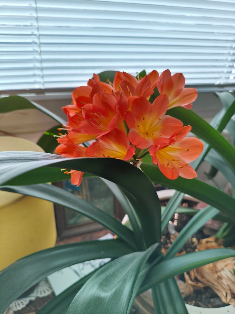My Actifit Report Card: June 30 2026