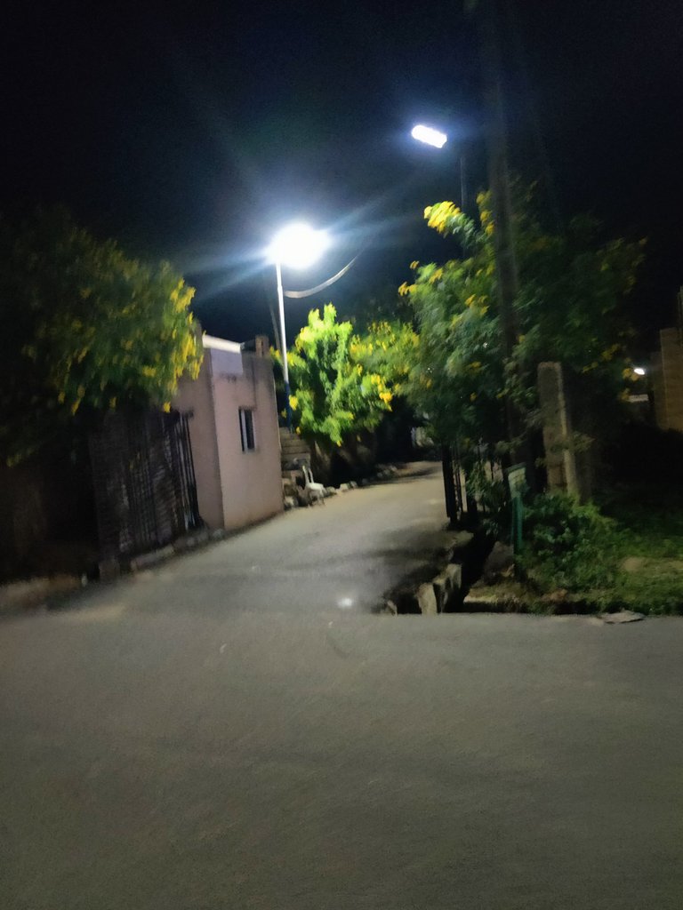 My Actifit Report Card: March 24 2026