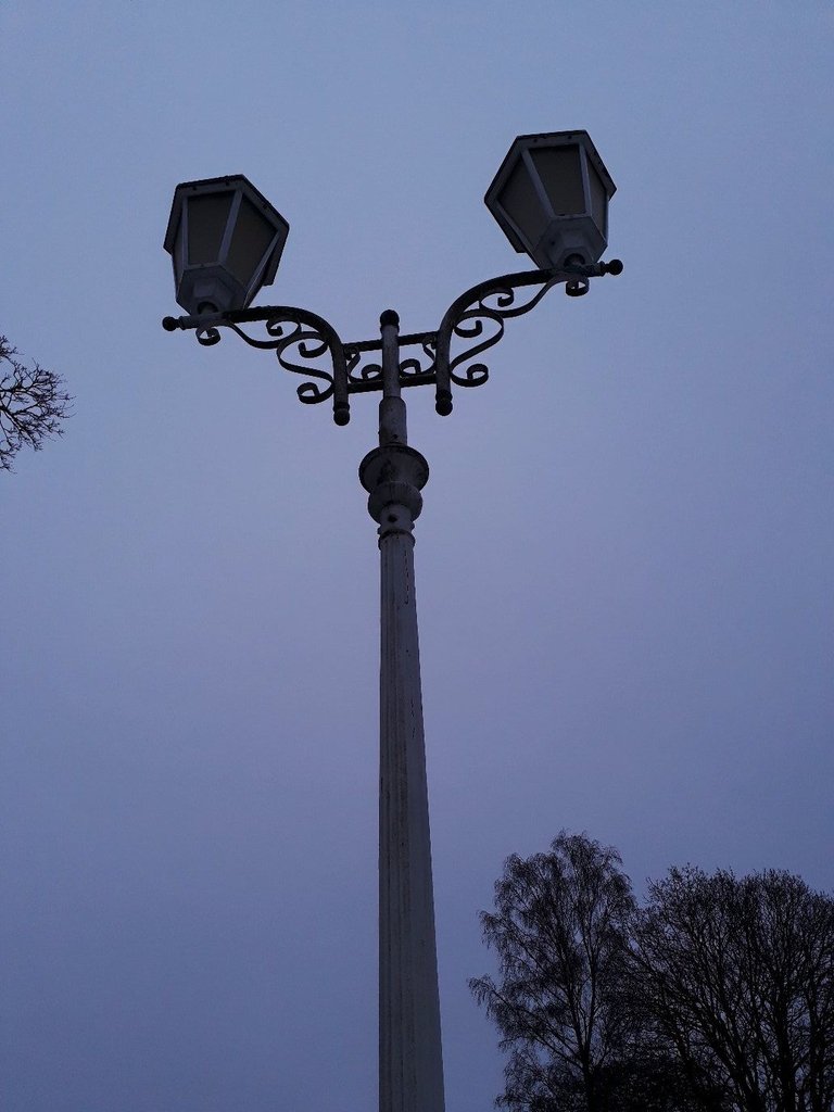 My Actifit Report Card: February 14 2026