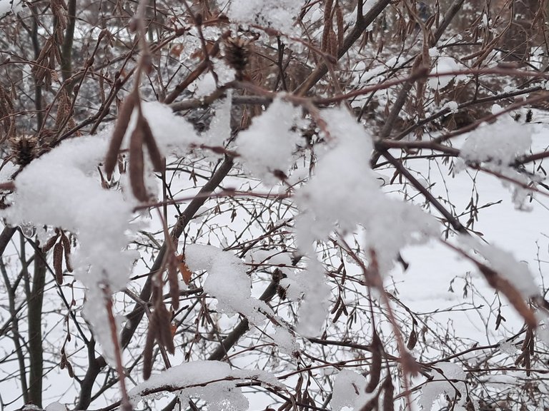 My Actifit Report Card: February 2 2026