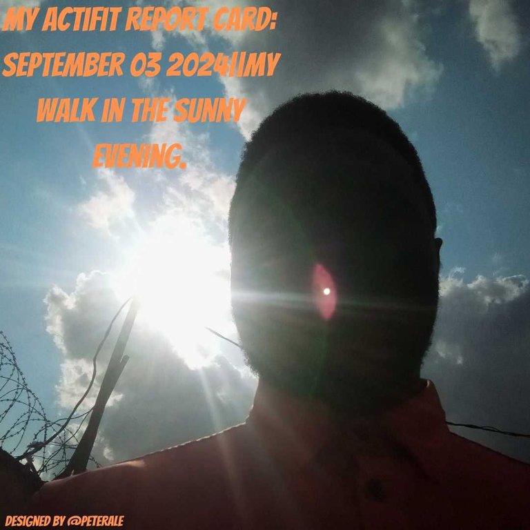 My Actifit Report Card: September 03 2024||My walk in the sunny evening.