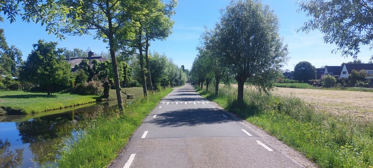 Last extra day off - My Actifit Report Card: May 25 2026