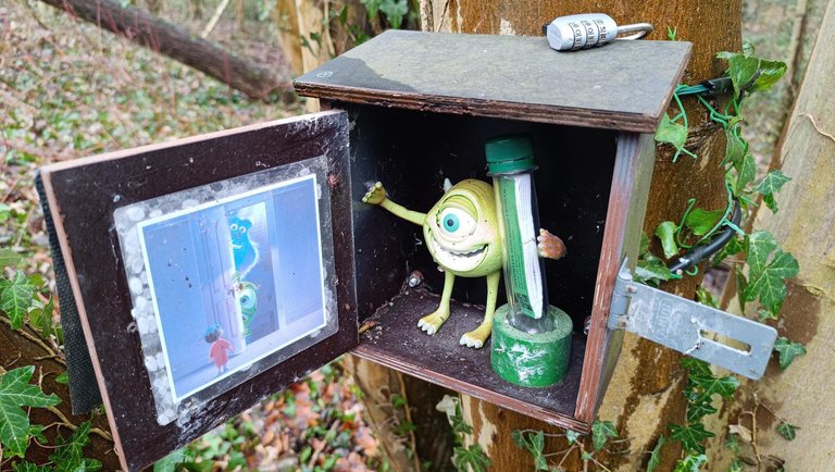 My Actifit Report Card: February 24 2026