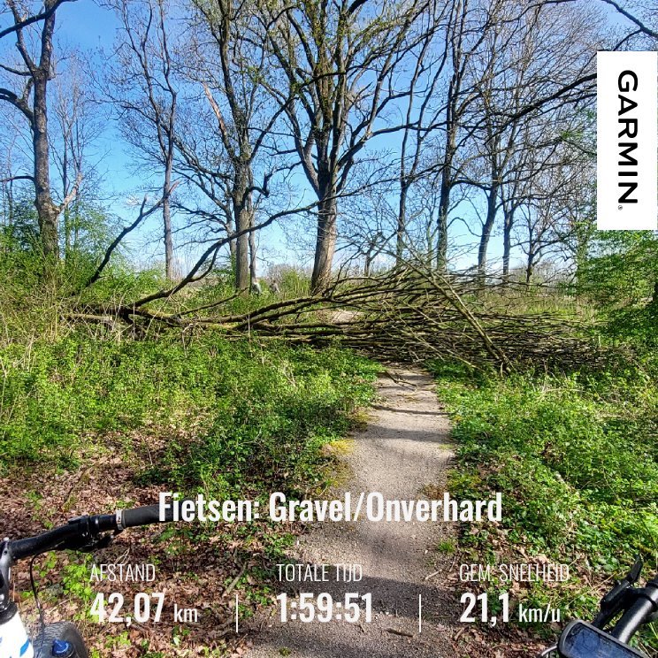 Another mtb ride tomorrow our usual spot - My Actifit Report Card: April 12 2026