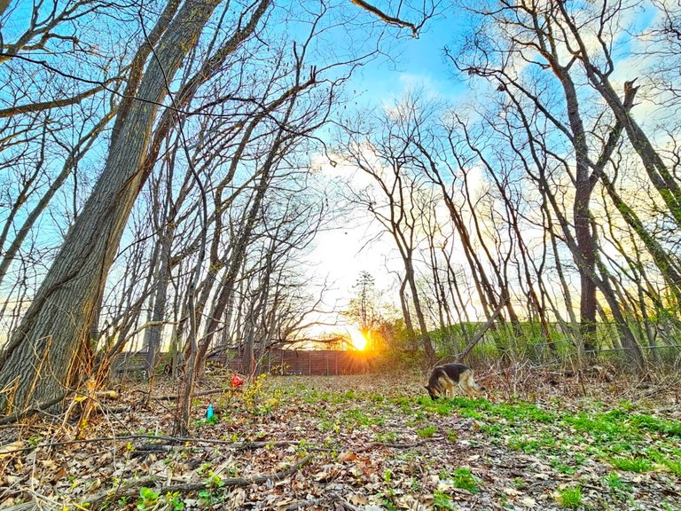 My Actifit Report Card: April 14 2026