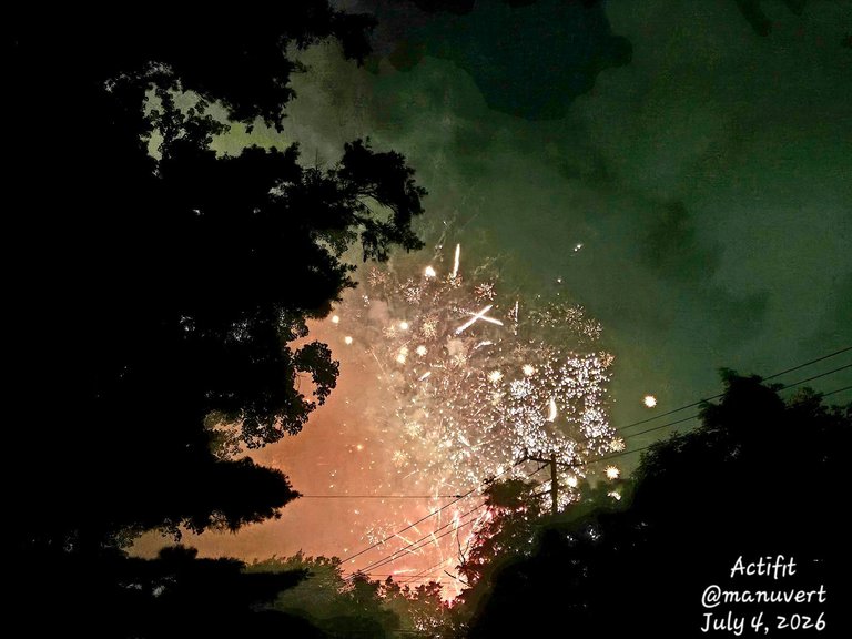 Happy belated 4th! - My Actifit Report Card: July 4 2026