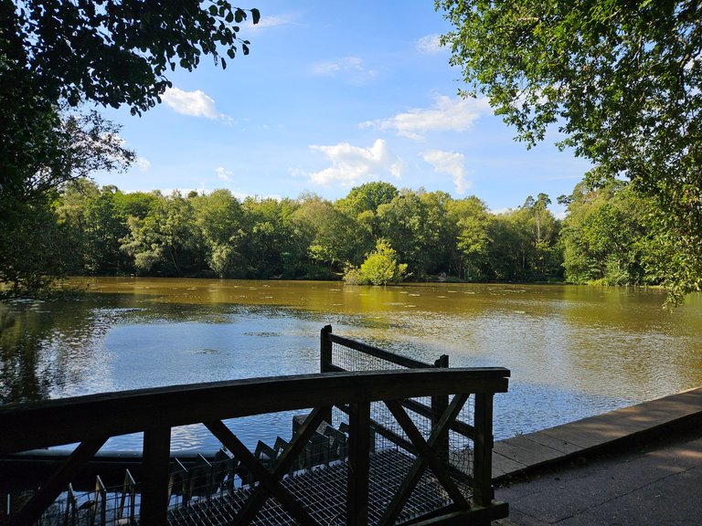 Walkies in the park : My Actifit Report Card: September 7 2025