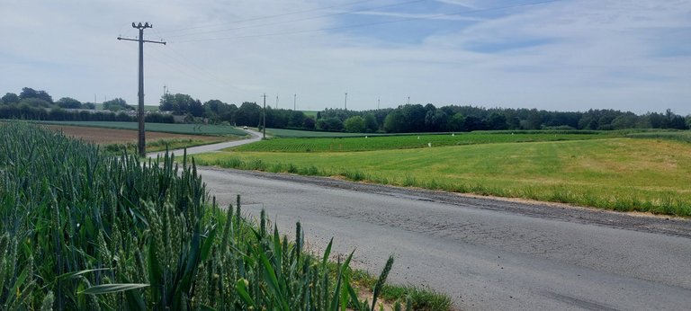 South of Belgium - My Actifit Report Card: June 1 2026