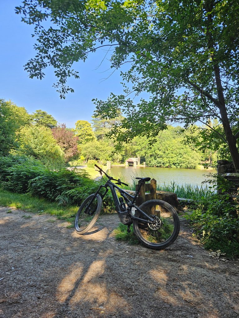 A beautiful afternoon in Buchan Park  : Actifit Report Card: July 3 2026