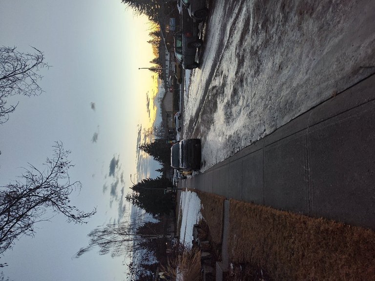 My Actifit Report Card: January 15 2026