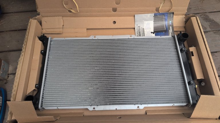 My Actifit Report Card: December 23 2025