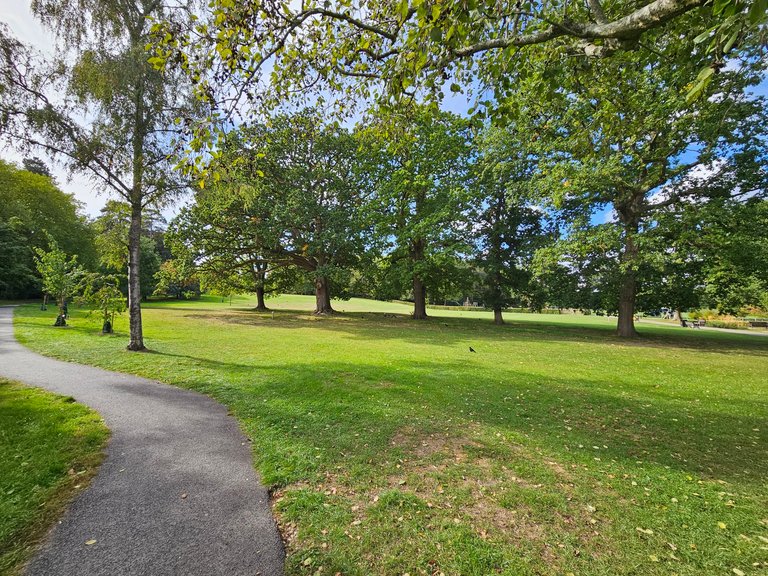 Goffs Park Tree trail  : My Actifit Report Card: September 28 2026