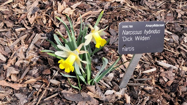 My Actifit Report Card: March 28 2026