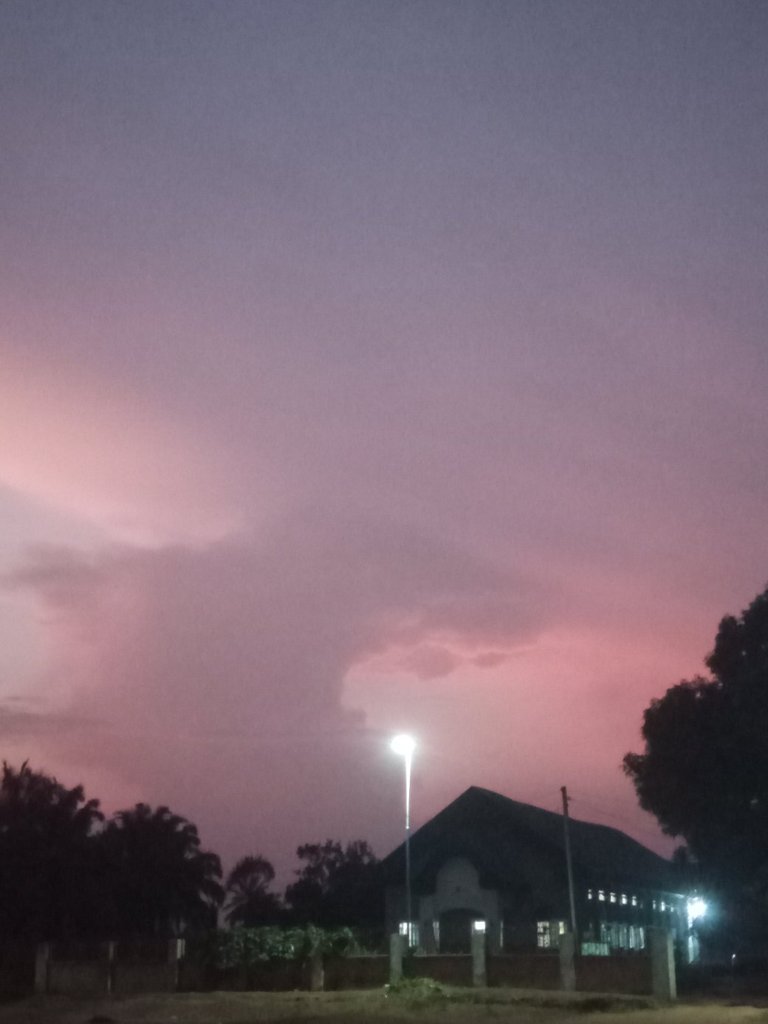 My Actifit Report Card: December 29 2025