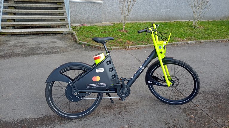 My Actifit Report Card: March 18 2026