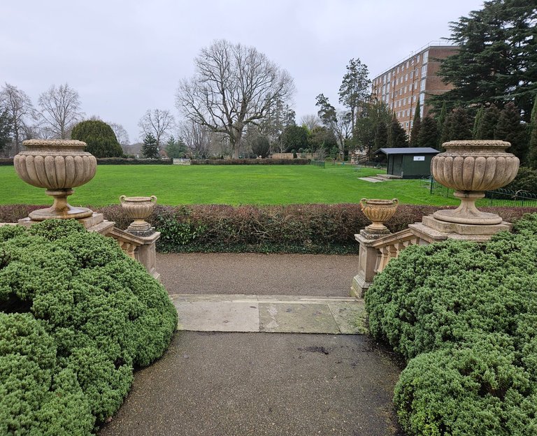 My Actifit Report Card: January 29 2026