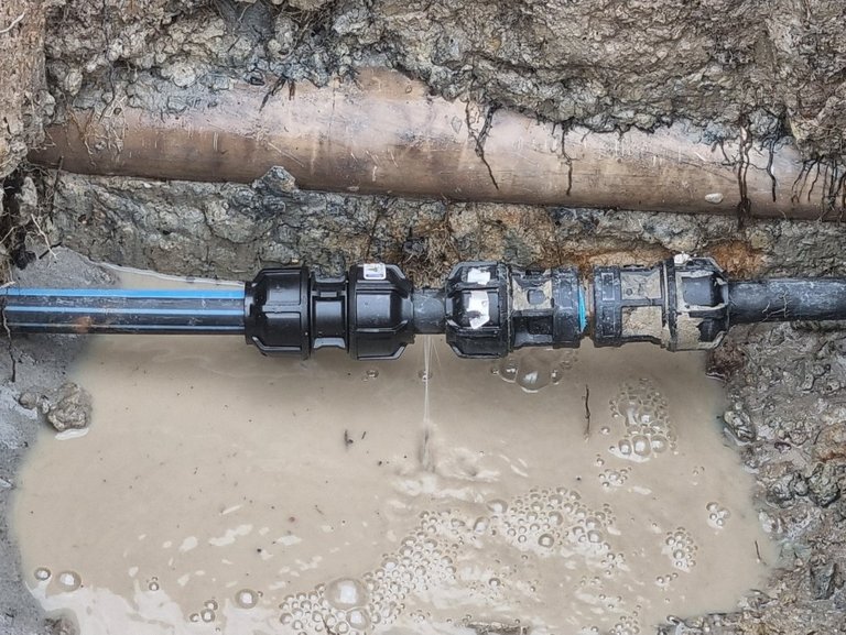 My Actifit Report Card: December 23 2025