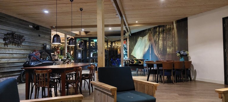 Out in the woods - My Actifit Report Card: December 29 2025