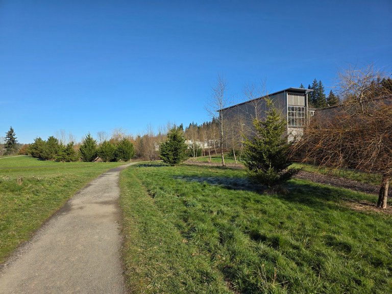 My Actifit Report Card: March 4 2026