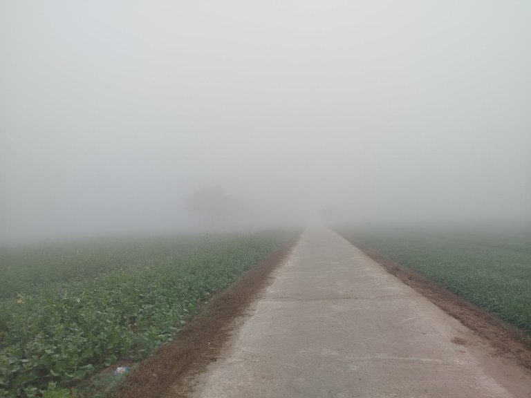 My Actifit Report Card: January 6 2026