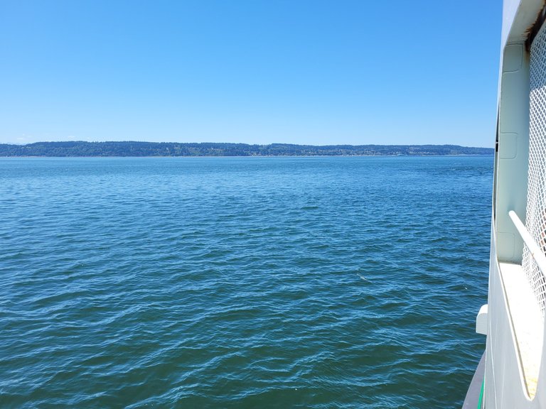 My Actifit Report Card: June 30 2025