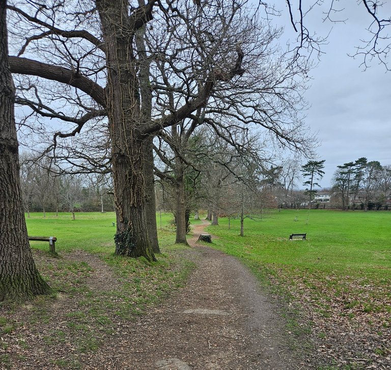 My Actifit Report Card: January 19 2026