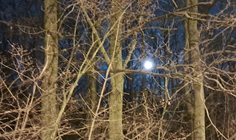 My Actifit Report Card: April 4 2026