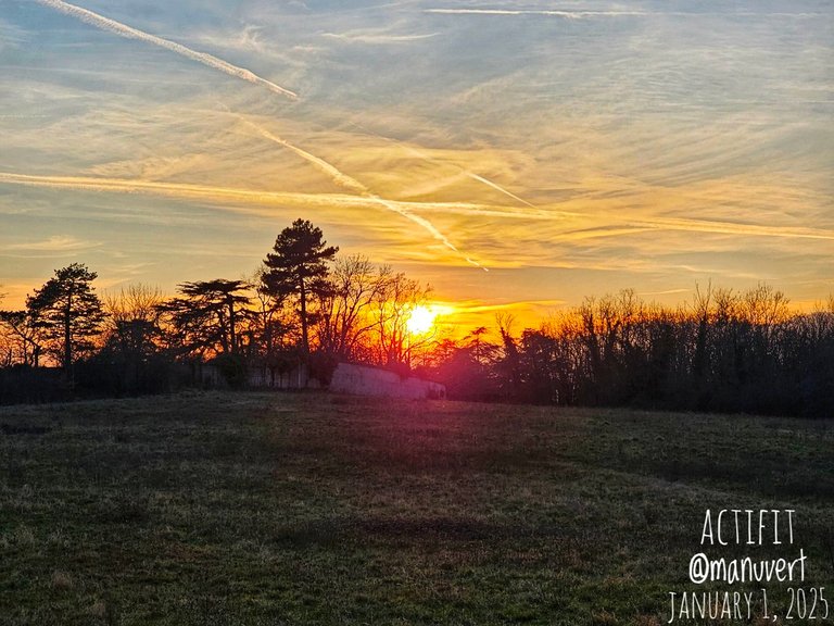 Happy new year! - My Actifit Report Card: January 1 2026