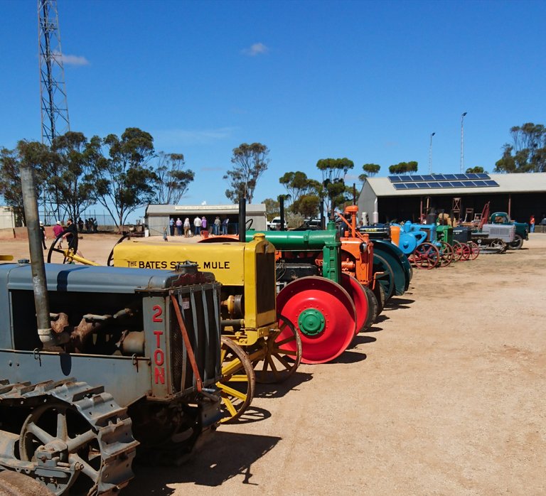 A long row of colourful rustic restored tractors of all kinds