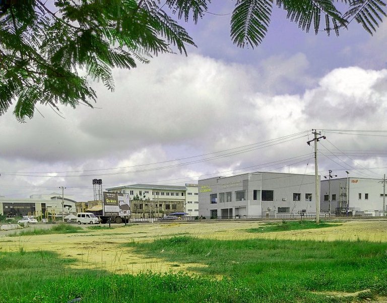 My Actifit Report Card: January 2 2026