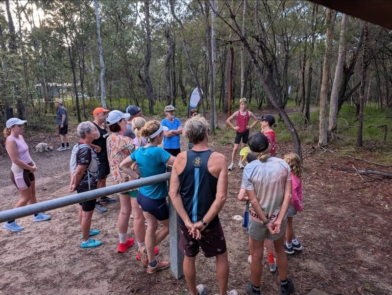 My Actifit Report Card: April 4 2026