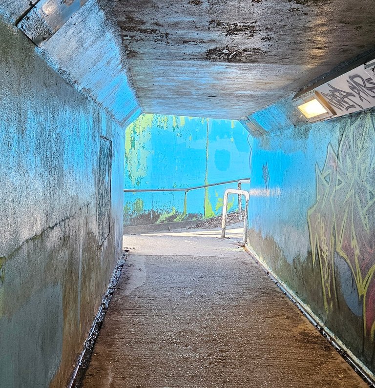 My Actifit Report Card: March 29 2026