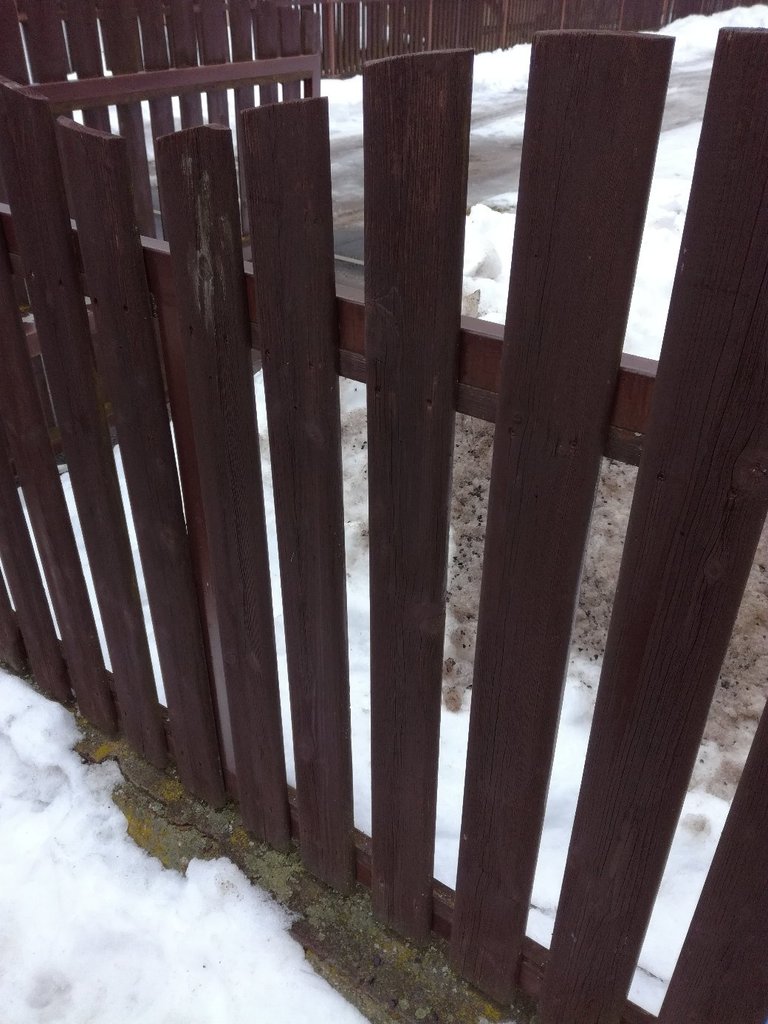 My Actifit Report Card: February 14 2026