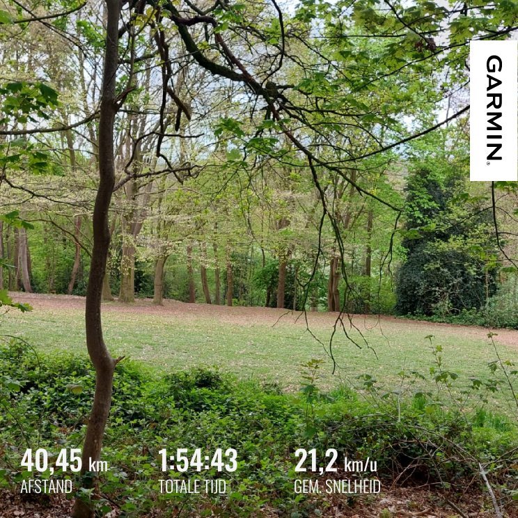 Cycling day - My Actifit Report Card: May 31 2026