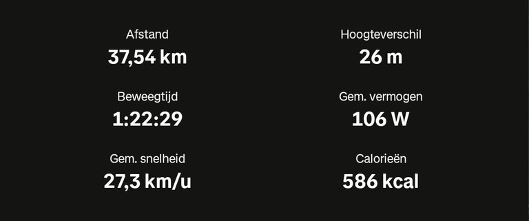 My Actifit Report Card: July 10 2025